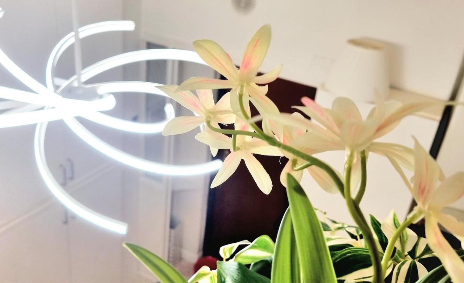 Isola Brera Duomo - Antica Atmosfera - Lovable Cozy Apartment Μιλάνο Εξωτερικό φωτογραφία