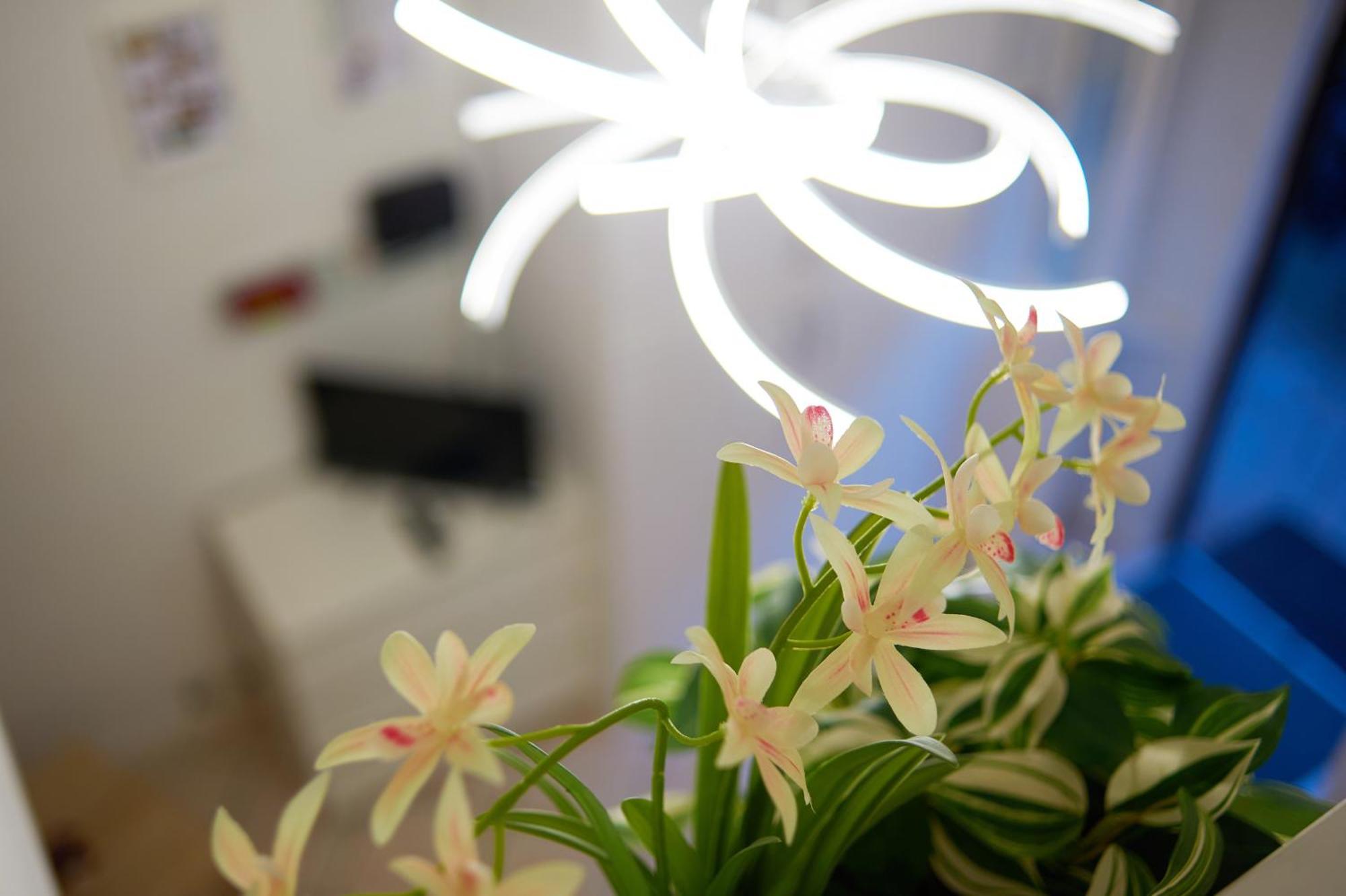 Isola Brera Duomo - Antica Atmosfera - Lovable Cozy Apartment Μιλάνο Εξωτερικό φωτογραφία